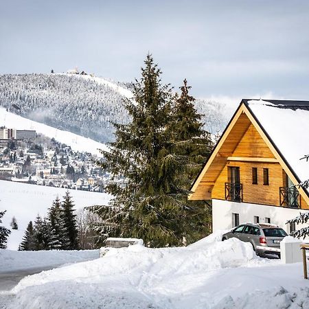 Ski Chalet Klinovec Loučná pod Klínovcem Exteriör bild