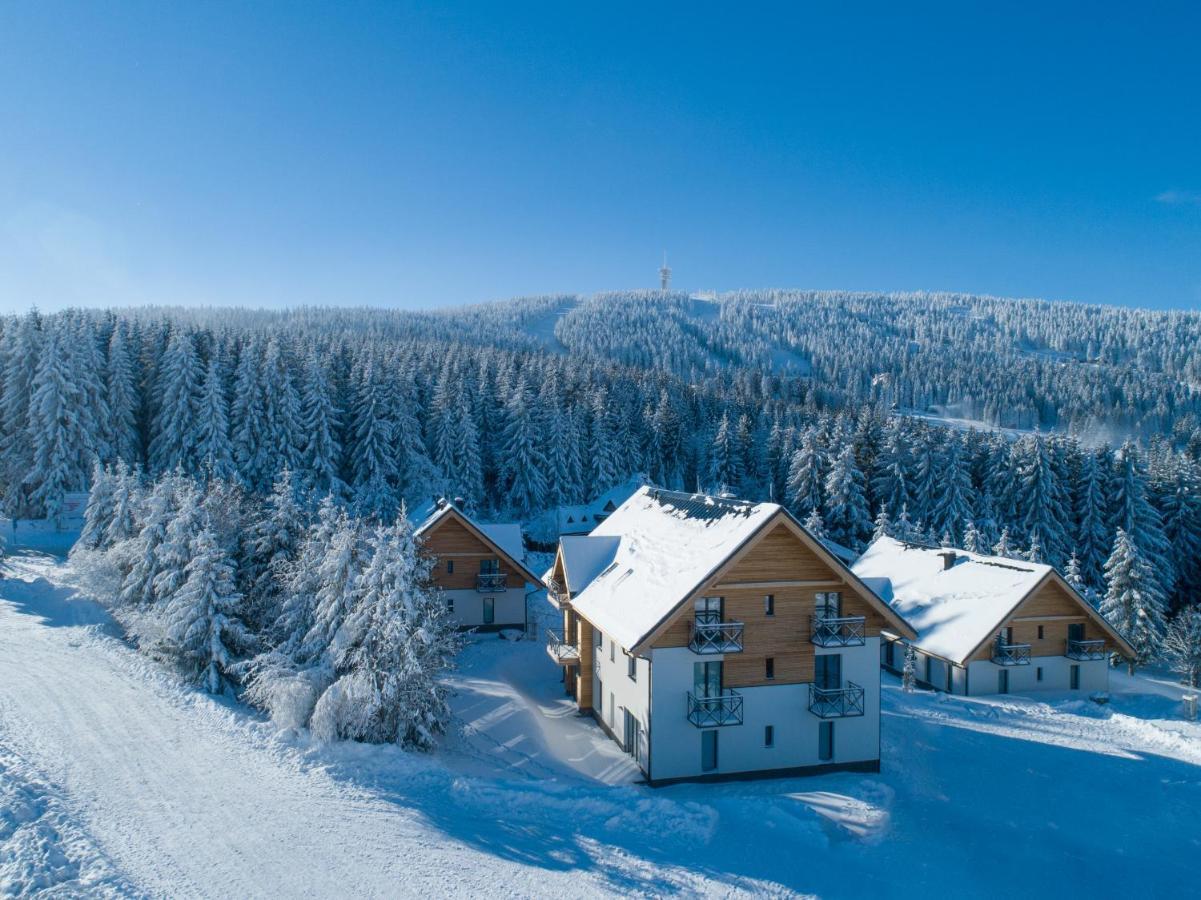 Ski Chalet Klinovec Loučná pod Klínovcem Exteriör bild