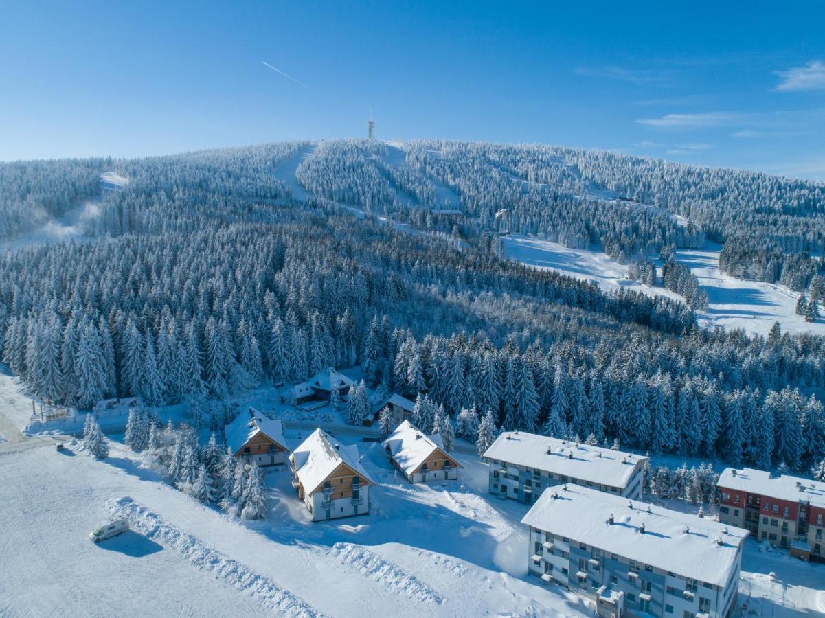 Ski Chalet Klinovec Loučná pod Klínovcem Exteriör bild