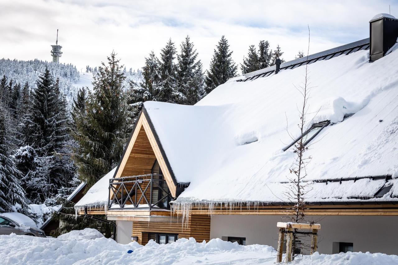 Ski Chalet Klinovec Loučná pod Klínovcem Exteriör bild