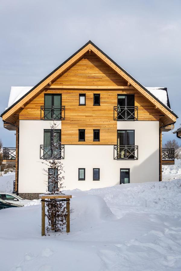 Ski Chalet Klinovec Loučná pod Klínovcem Exteriör bild