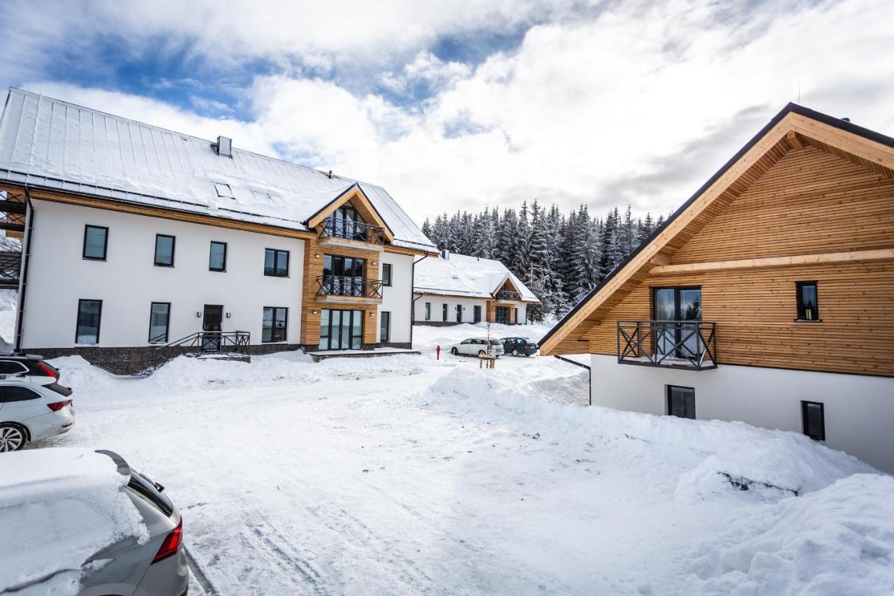 Ski Chalet Klinovec Loučná pod Klínovcem Exteriör bild
