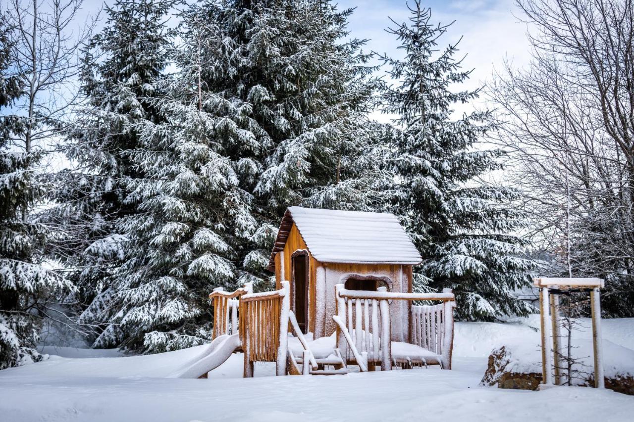 Ski Chalet Klinovec Loučná pod Klínovcem Exteriör bild