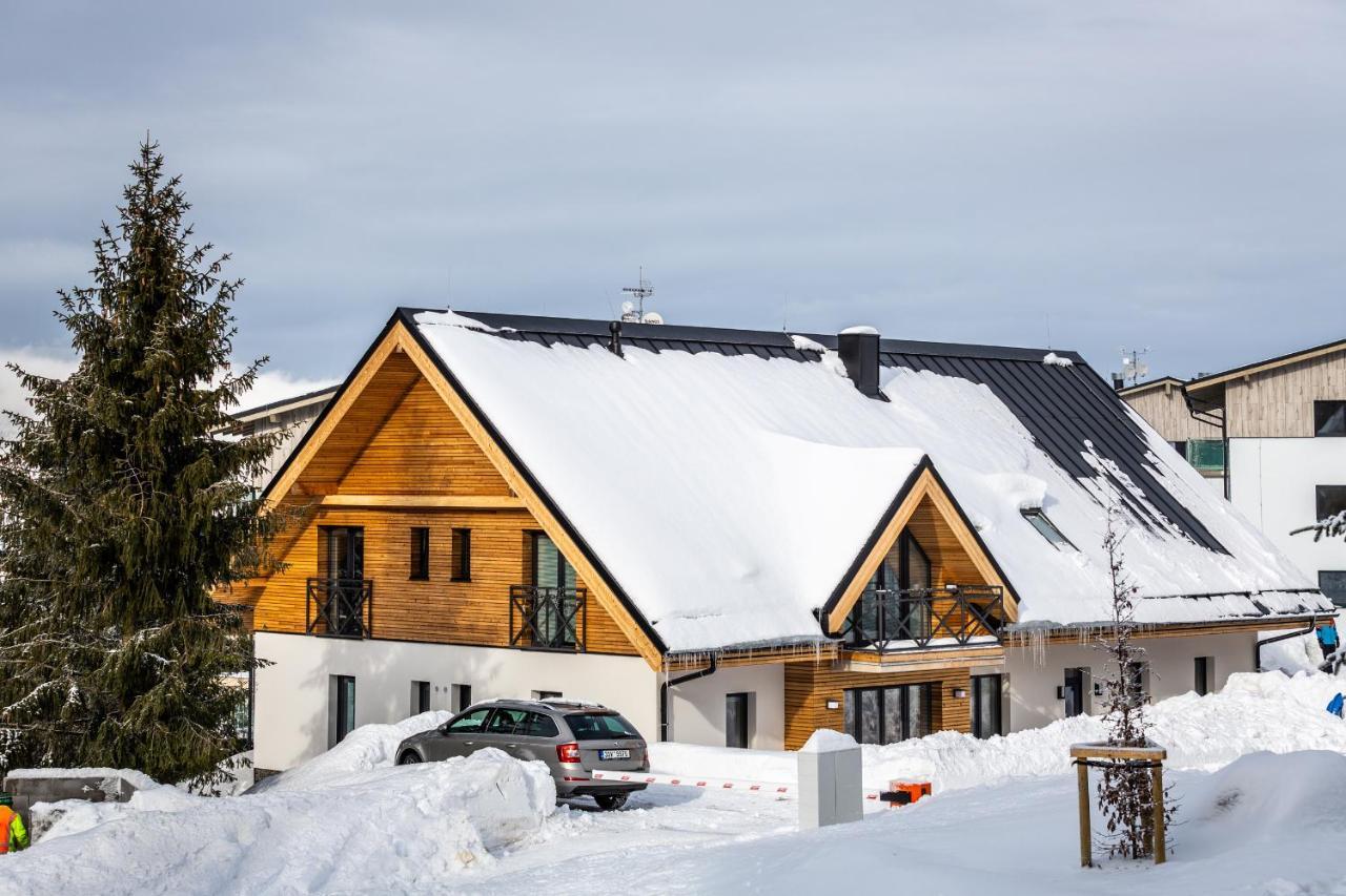 Ski Chalet Klinovec Loučná pod Klínovcem Exteriör bild