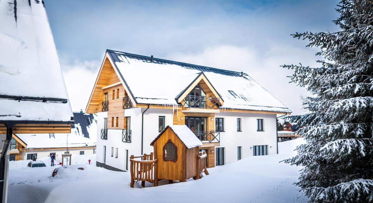 Ski Chalet Klinovec Loučná pod Klínovcem Exteriör bild