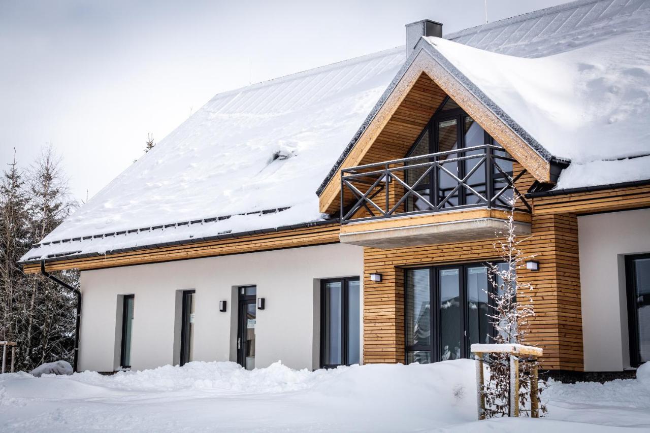Ski Chalet Klinovec Loučná pod Klínovcem Exteriör bild