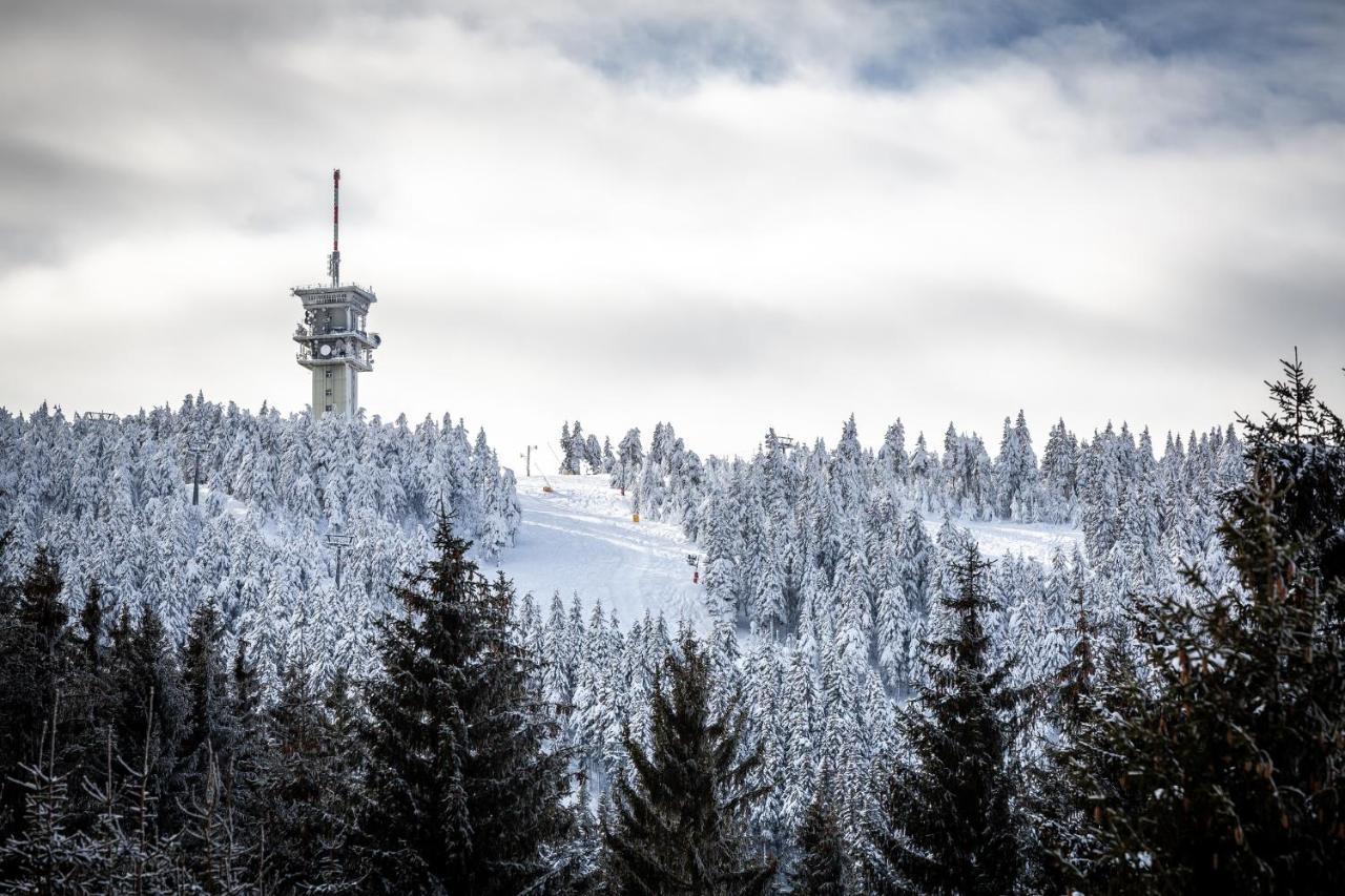 Ski Chalet Klinovec Loučná pod Klínovcem Exteriör bild