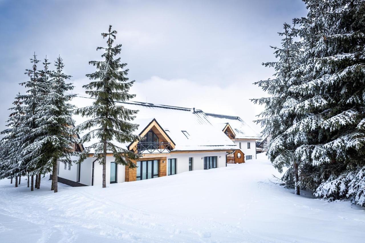 Ski Chalet Klinovec Loučná pod Klínovcem Exteriör bild