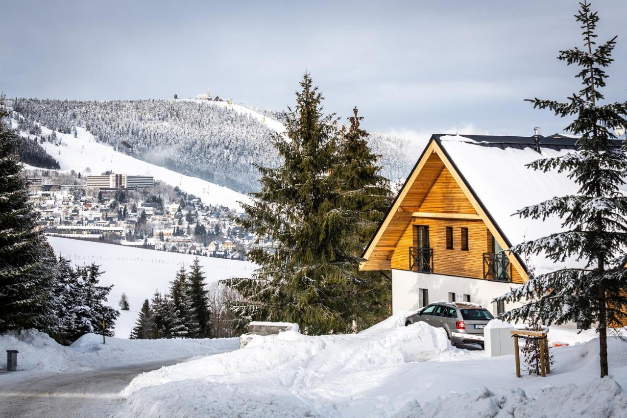 Ski Chalet Klinovec Loučná pod Klínovcem Exteriör bild