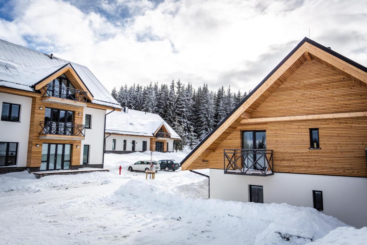 Ski Chalet Klinovec Loučná pod Klínovcem Exteriör bild