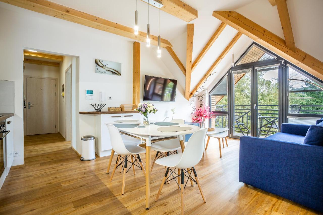 Ski Chalet Klinovec Loučná pod Klínovcem Exteriör bild