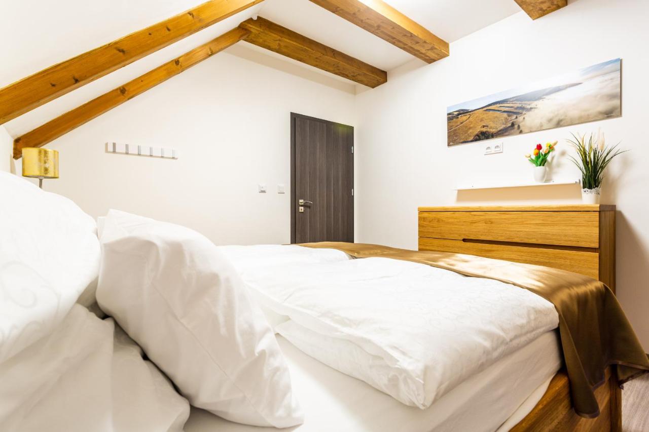 Ski Chalet Klinovec Loučná pod Klínovcem Exteriör bild